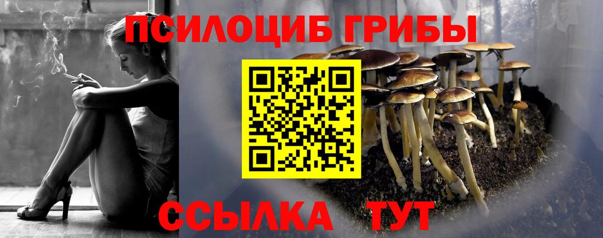 Галлюциногенные грибы Psilocybine cubensis  Вход с VPN  Псилоцибиновые грибы Psilocybine cubensis  Кызыл 